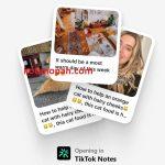 Apa Itu TikTok Notes Aplikasi Foto Pesaing Instagram Yang viral notes.tiktok