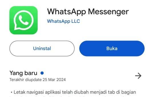 Cara Mengatasi WhatsApp Tidak Bisa Mengirim Pesan Mudah sekali