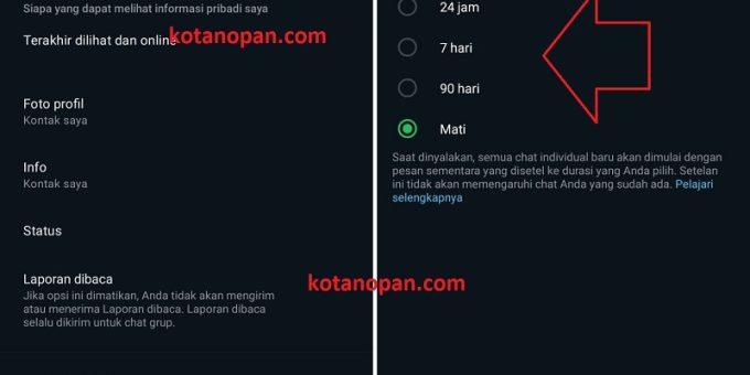 Cara Aktifkan Pesan Berwaktu di WhatsApp Otomatis dihapus