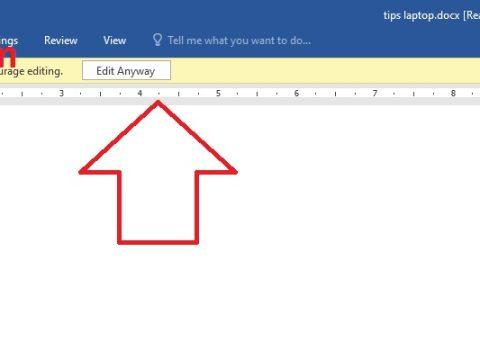 Cara Membuka Dokument Microsoft Word Terkunci Tidak Bisa Mengetik edit anyway